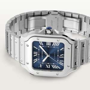 Cartier Santos de Cartier WSSA0071 bracelet and case detail